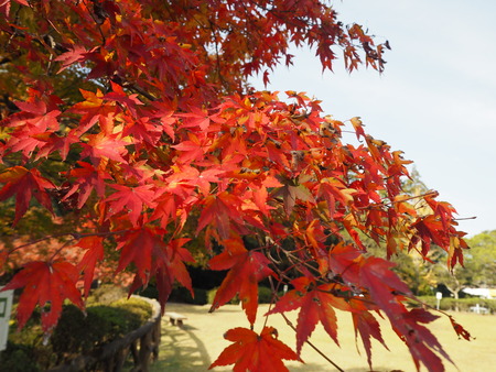 2021.11.21������ԡ��������PB187512