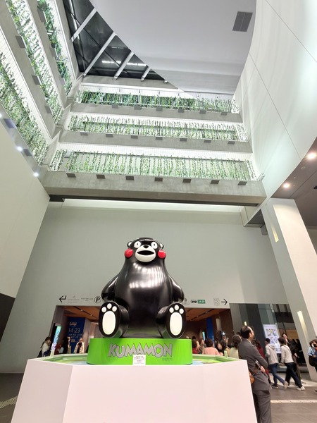 �������������󥵡��ȷ���IMG_8355