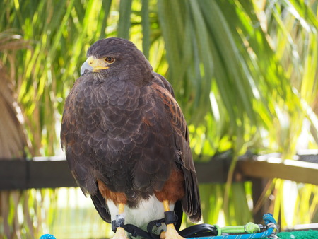 2021.11.14 �����ݻԡ��彽����ư��ʪ�ࡡ�������PB136204