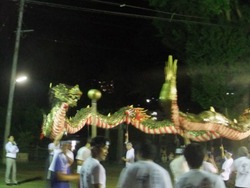 oku-30DSCF2883