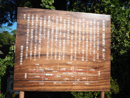 12-£Ê£Ò¥¦¥©¡¼¥¥ó¥°¡¡´ÒÁá»Ô¹âÍèÄ®PA251625