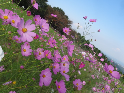 諫早湾干拓 長崎 諫早市民 ふくちゃんの食う 寝る 遊ぶ日記