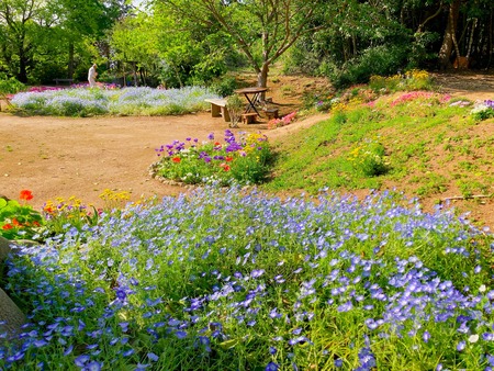 2022.04.19 ����Ը��Į���ھ�̾�β�ȪIMG_5697