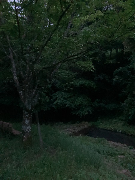 2024.05.22 諫早市多良見町 中里ホタルの里遊歩道IMG_7229