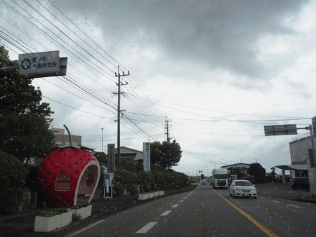 2021.07.07����Ծ�Ĺ��Į�����ե롼�ĥХ���P7078639