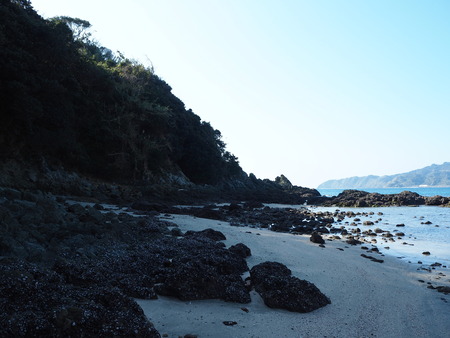 13-長崎市野母崎 脇岬海水浴場 ビーチロックP1100140