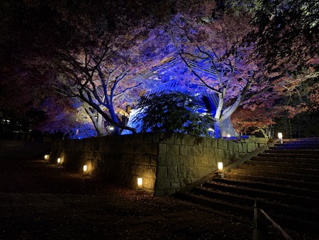 �¾���IMG_7096