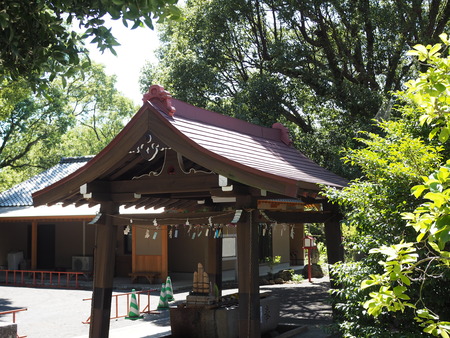 2025.08.14 橘神社の花手水P8150696