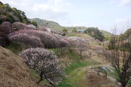 10-虎馬園DSC07574