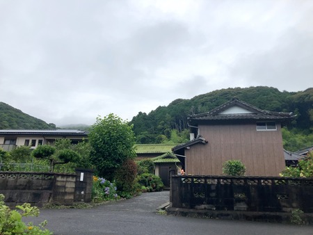 2024.07.24¡¡ëÝÁá»Ô¿¹»³Ä®¡¡Ï¤ʤ´¤ßIMG_1270