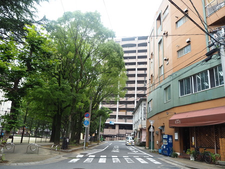 木々P7052143
