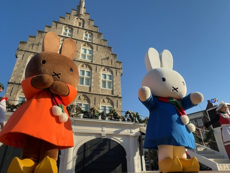 �ϥ����ƥ�ܥ����ߥåե������硼IMG_2114