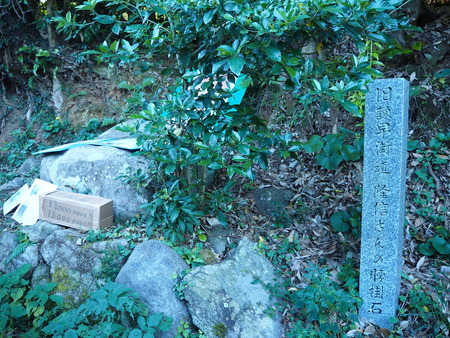 13-£Ê£Ò¥¦¥©¡¼¥¥ó¥°¡¡´ÒÁá»Ô¹âÍèÄ®PA251640