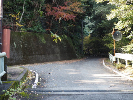 ����Թ���Į�����ή�����߾�PB261748