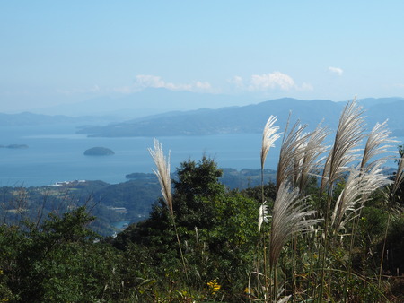 2022.10.28���׳��ֿ����PA232332