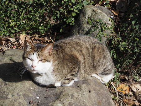 2023.02.25ĹԡP1016276