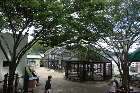 7-ưʪ�Ҥ���DSC09537