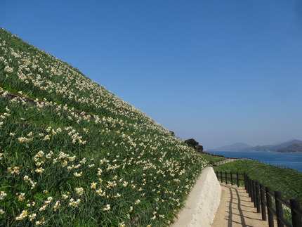 13-�����DSC00567