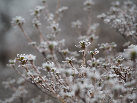 2022.12.03 ±ÀÀç¿ÎÅÄÆ½¡¢Ì¯¸«³Ù¡¡Ì¸É¹P1011709