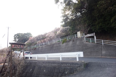 16-虎馬園DSC07624