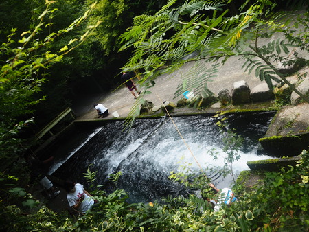 12-������项��Į����ޤ��ΤP8220291