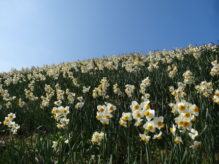 12-�����DSC00559