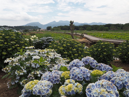 2022.05.31 ����Կ���Į������ϥ���P5291053