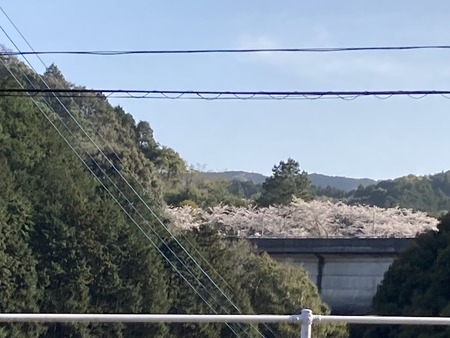 2023.03.28 諌早市 土師野尾ダムIMG_5651