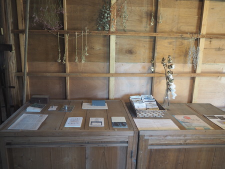 2021.06.30南島原市有家町 ありえとP5030592