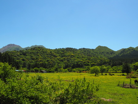 2024.05.10 奥雲仙 田代原P5092727