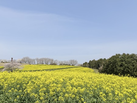 �������⸶�κڤβ�IMG_5433