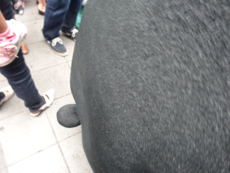 3-DSC06909