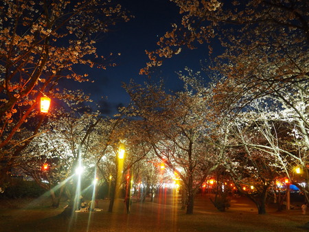 2023.04.01 雲仙市千々石町 橘神社P1011874
