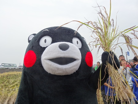 15-DSC09789