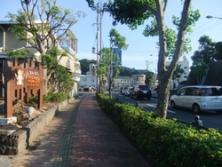 7-1DSCF4082