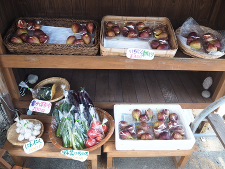 5-諌早市高来町 無人販売P8015172