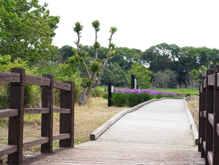 2022.05.31 ����Կ���Į������ϥ���P5291120