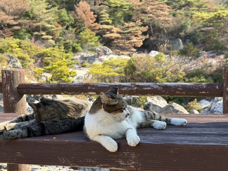 �����Ϲ�ǭIMG_2890