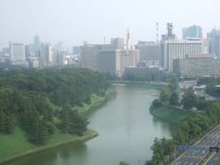to-6DSCF4919