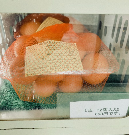 2023.02.07 ´ÒÁá»Ô¡¡¸Å²ìÍÜ·Ü¡¡L¶Ì£²PIMG_3067