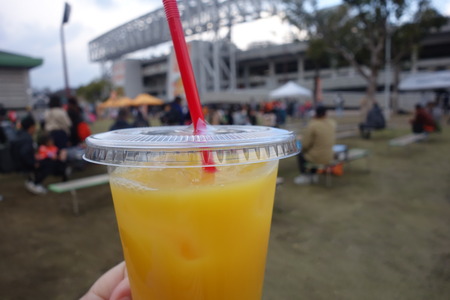 22-£Ö¥Õ¥¡¡¼¥ì¥óĹºê¡¡°¦É²ÀïDSC00801