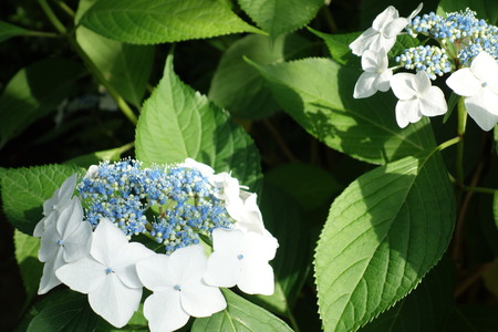 10-大村公園DSC01325