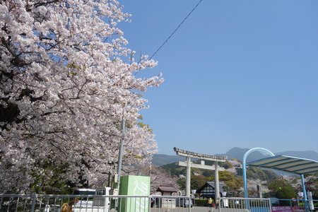 2-橘公園DSC01370