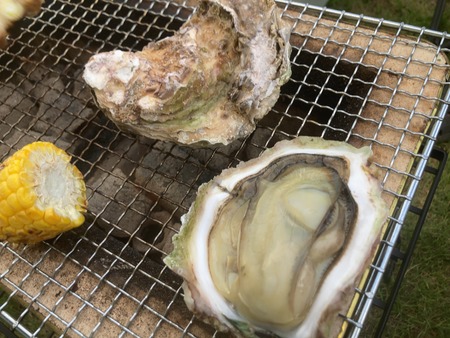 2025.07.21�����ᡡƻ�αء�251������ꤸ�㤬��������IMG_8160