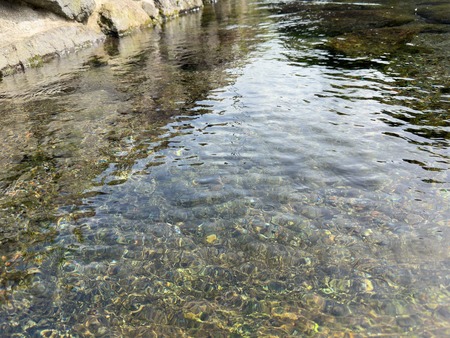 ͯ���ſ帻IMG_1313