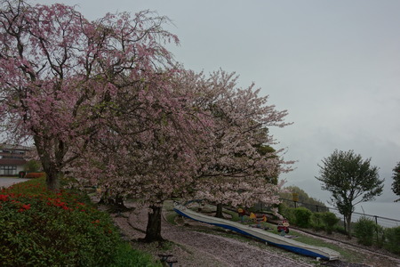 14−多良見町のぞみ公園DSC02035