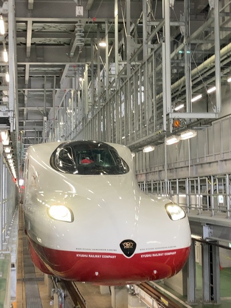 2023.10.08¡¡¿·´´Àþ¥Õ¥§¥¹¥¿inĹºêIMG_0505