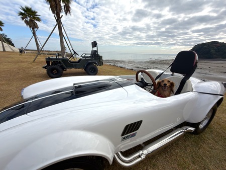 ����Ծ�Ĺ��Į��A=KICHI�����ޥ륷��IMG_6675