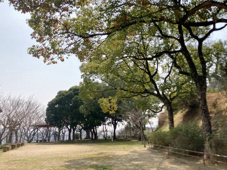 2023.03.12 長崎市 立山公園IMG_4349