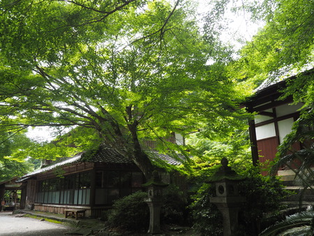 2022.07.26 諫早市 富川渓谷バンガローP7172776